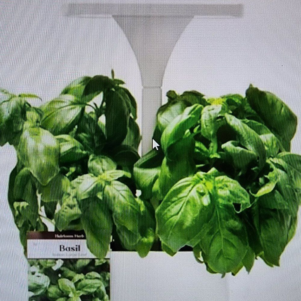 Short Stories LED Indoor Planter